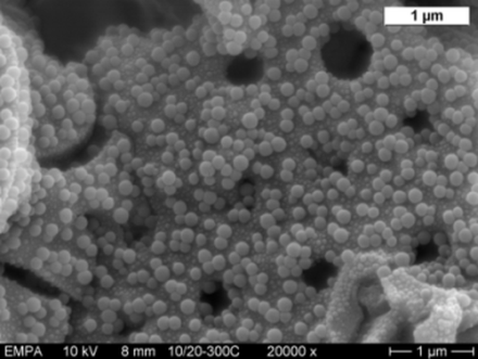 Picture+Nanoparticles+and+Nanocomposites+Ceramics+bacteria+small.png